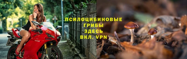 spice Абаза