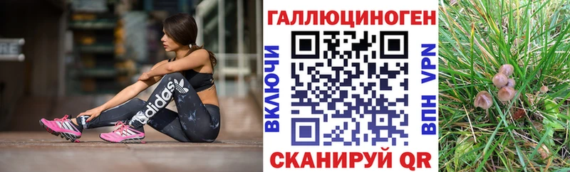 магазин продажи наркотиков darknet формула Псилоцибиновые грибы Magic Shrooms Староминская